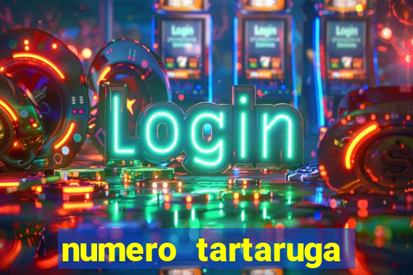 numero tartaruga jogo do bicho